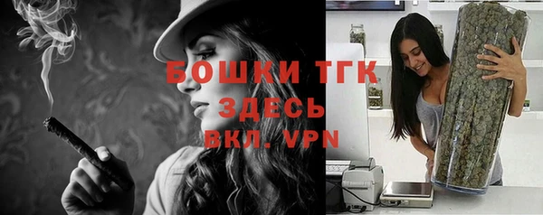 PSILOCYBIN Дмитров