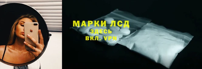 сатива Гусиноозёрск