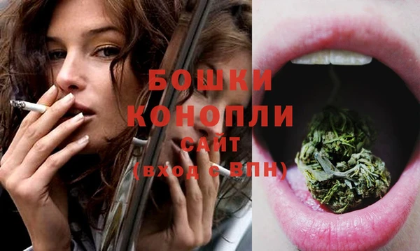 молекула духа Дмитровск
