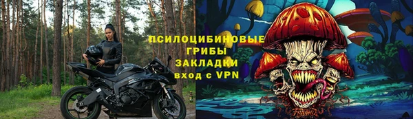 mdpv Гусев
