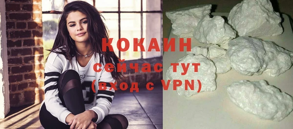 сатива Гусиноозёрск