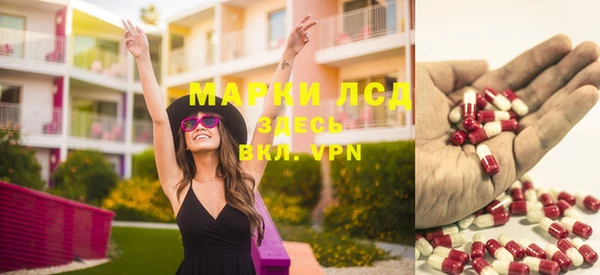сатива Гусиноозёрск
