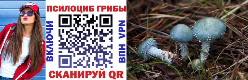кракен ONION  Новое Девяткино  Псилоцибиновые грибы MAGIC MUSHROOMS 